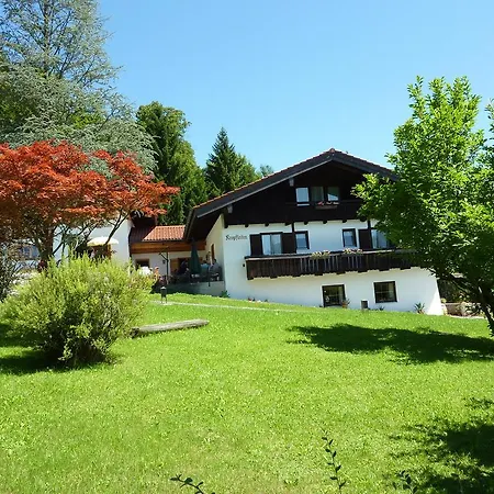 Πανσιόν Alpenpension Kropfleiten